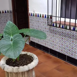 https://patio-pompeyos.es-andalucia.com